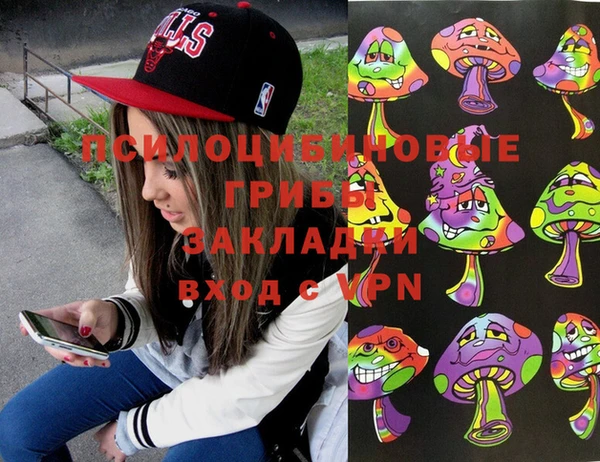 мдпв Беломорск