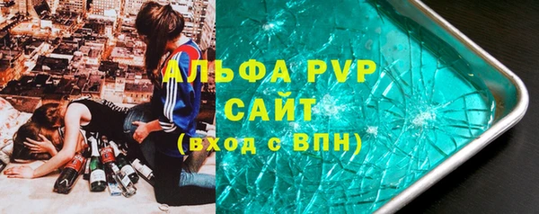 сатива Белокуриха