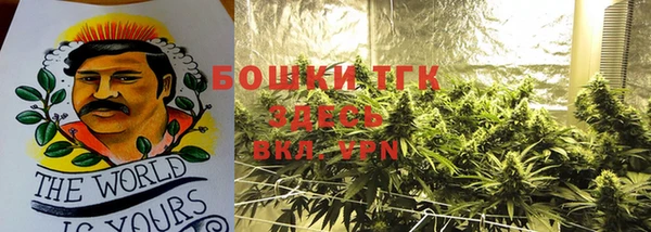 сатива Белокуриха