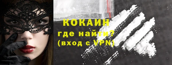 сатива Белокуриха