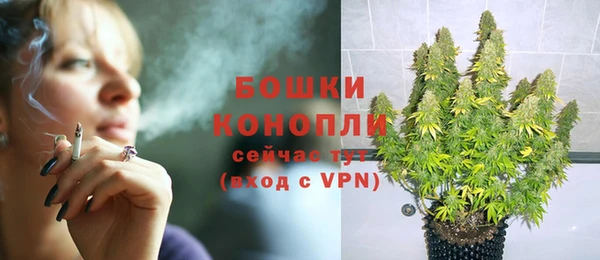 сатива Белокуриха