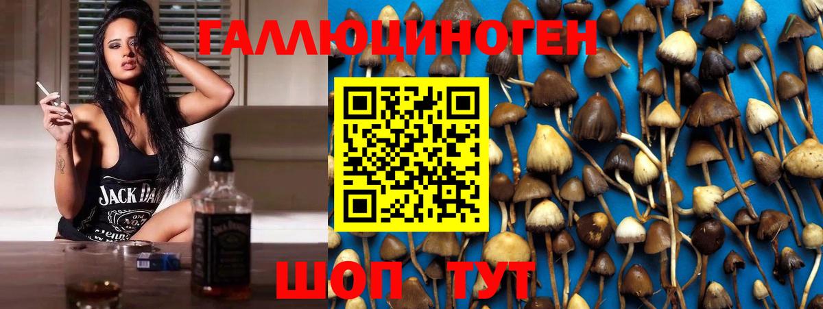 Псилоцибиновые грибы MAGIC MUSHROOMS Реж